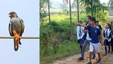 Nagaland- Tokhü Emong Bird Count concludes in a grand finale