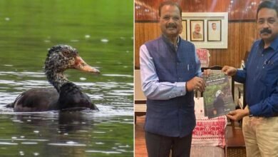 Assam Forest Minister Unveils Blueprint for White-Winged Duck Protection