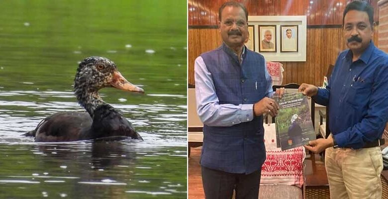 Assam Forest Minister Unveils Blueprint for White-Winged Duck Protection