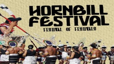 Nagaland gears up for 10-day Hornbill festival