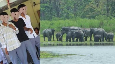 Assam: Students enact play to sensitise HEC-hit villagers for coexistence with elephants