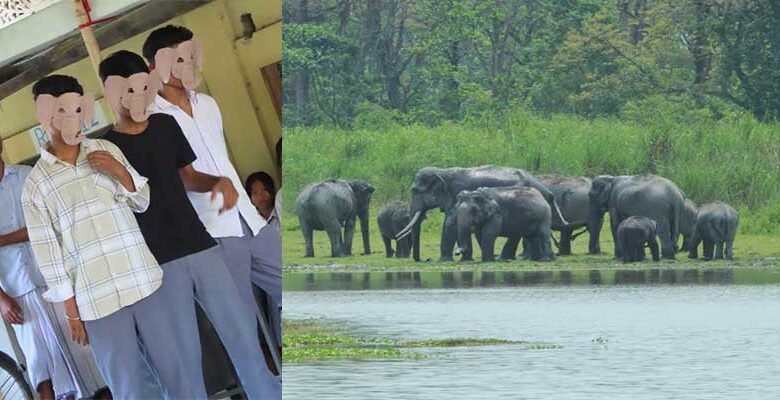 Assam: Students enact play to sensitise HEC-hit villagers for coexistence with elephants