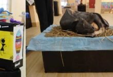 Assam: Exciting Moments at Kalakshetra - A Visual Odyssey!