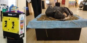 Assam: Exciting Moments at Kalakshetra - A Visual Odyssey!