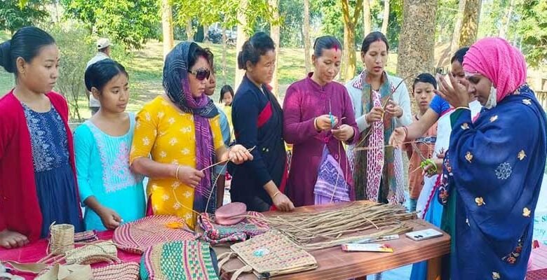 Assam: Women from Laokhowa Burhachapori WLS trained on water hyacinth crafts