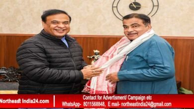 Assam CM takes up key infra projects with Union Minister Gadkari