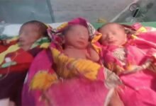 Tripura woman gives birth to Triplets