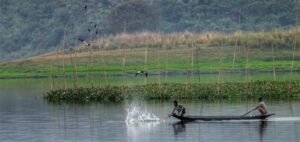 Assam: Aaranyak observed WWD to highlight Doloni Beel’s importance to food security and livelihood