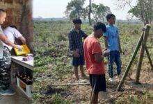Assam: Solar fence set up to facilitate human-elephant coexistence on fringe of Raimona National Park