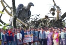 Assam: Aaranyak initiates student outreach on vultures conservation in Sivasagar