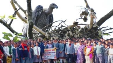 Assam: Aaranyak initiates student outreach on vultures conservation in Sivasagar