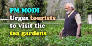 PM Modi hails tea garden community of Assam for their hard work