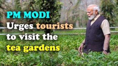 PM Modi hails tea garden community of Assam for their hard work