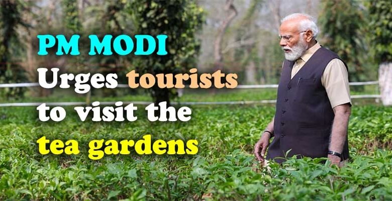 PM Modi hails tea garden community of Assam for their hard work