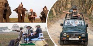 LIVE UPDATES; PM Modi visits Assam's Kaziranga National Park