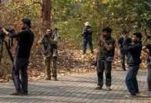 Assam: Aaranyak’s wildlife filmmaking workshop to encourage visual storytelling for conservation
