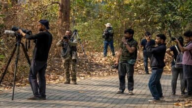 Assam: Aaranyak’s wildlife filmmaking workshop to encourage visual storytelling for conservation
