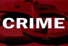 Assam: Woman surrenders before police after hacking son with machete