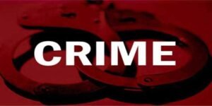Assam: Woman surrenders before police after hacking son with machete