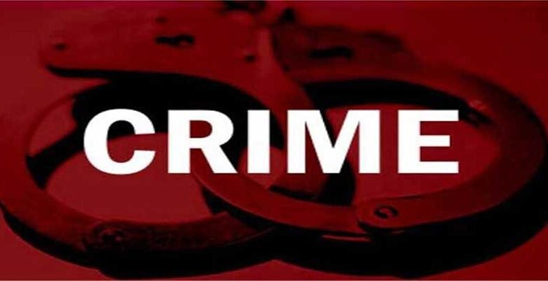 Assam: Woman surrenders before police after hacking son with machete