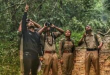 Assam: Aaranyak organises Field-based training for forest staff on conservation of Hoolock gibbon