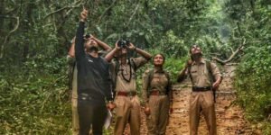 Assam: Aaranyak organises Field-based training for forest staff on conservation of Hoolock gibbon