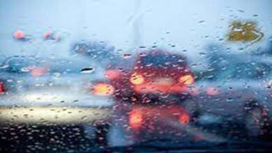 Weather Forecast: Rain and thunderstorms Predicted for Northeastern States  