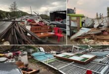 Manipur: Heavy rains damaged houses, uprooted trees in several places