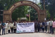 Assam: Orang FD flags community role in protecting wandering park animals