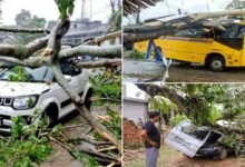 Cyclone Remal: 36 dead in Mizoram, Nagaland, Assam, and Meghalaya