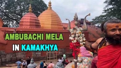 Assam: Ambubachi Mela begins in Guwahati's Kamakhya Temple