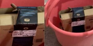 Viral Video of Bengaluru couple, who order Xbox from Amazon, gets cobra in package