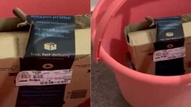 Viral Video of Bengaluru couple, who order Xbox from Amazon, gets cobra in package