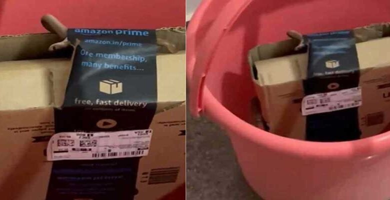 Viral Video of Bengaluru couple, who order Xbox from Amazon, gets cobra in package