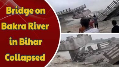 Bihar: Bridge on Bakra river collapses in Araria, Watch Viral Video
