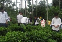 Assam: Aaranyak trains Karbi women, students to make handmade tea
