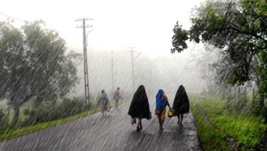 Northeast Monsoon Update: IMD Forecast, rainfall, thunderstorms, lightning, for the next five days in northeast
