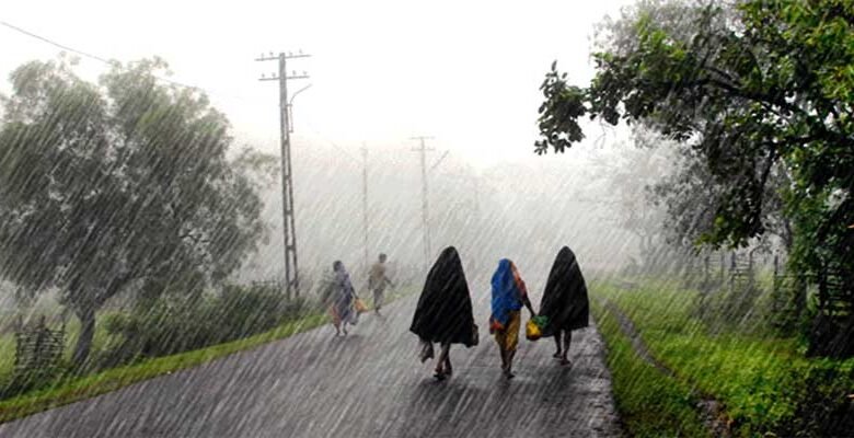 Northeast Monsoon Update: IMD Forecast, rainfall, thunderstorms, lightning, for the next five days in northeast