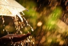 Weather Forecast : IMD predicts widespread rainfall across Northeast India