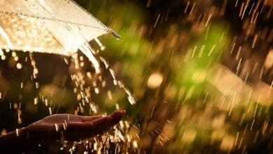 Weather Forecast : IMD predicts widespread rainfall across Northeast India