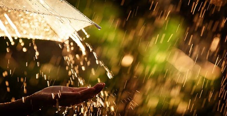 Weather Forecast : IMD predicts widespread rainfall across Northeast India