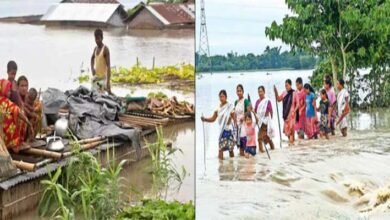 Assam flood: 11.5 lakh people in 23 districts affected