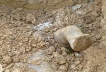 Assam: Aaranyak expresses concern over ‘illegal’ disposal of elephant carcass inside NRL campus