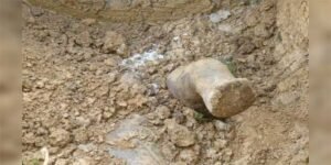 Assam: Aaranyak expresses concern over ‘illegal’ disposal of elephant carcass inside NRL campus