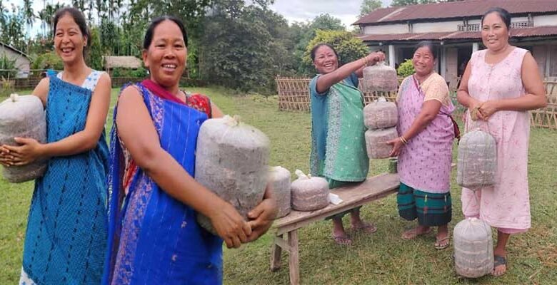 Assam: Aaranyak facilitates mushroom cultivation training for Karbi villagers