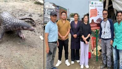 Manipur: WTI’s awareness signages encourage Manipur locals to safeguard the endangered Pangolins
