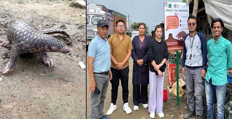 Manipur: WTI’s awareness signages encourage Manipur locals to safeguard the endangered Pangolins