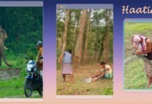 HaatiApp, Solar Fence Manual set to be launched to help mitigate HEC in NE region