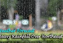 Weather Report: Heavy Rainfall Over Northeast India During This Week