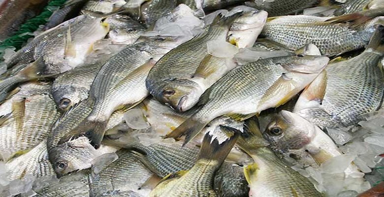 Avoid consuming fish produced using urea by 'Miya Muslims'; Assam CM
